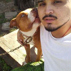 Meet your Posher, Chris